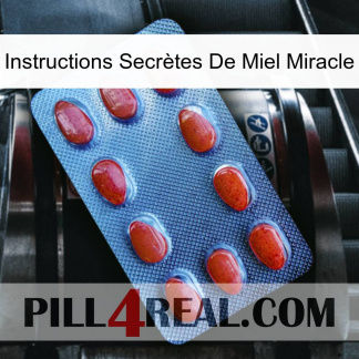 Instructions Secrètes De Miel Miracle 06